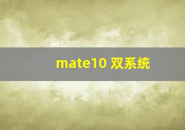 mate10 双系统